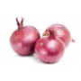 Onion